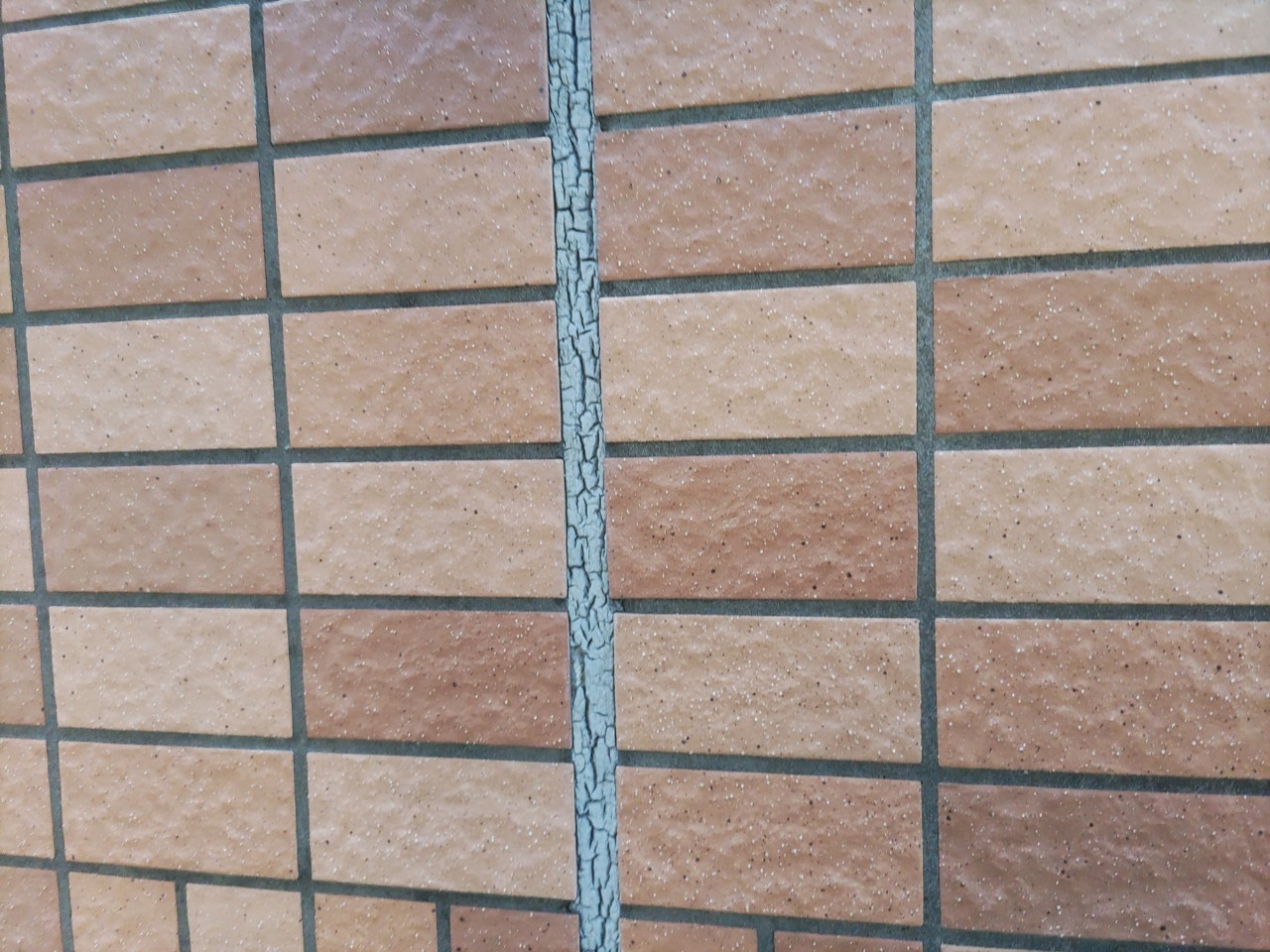 Before画像